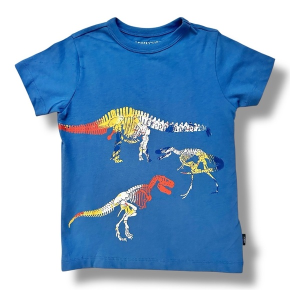 Crewcuts | Graphic Dinosaur T-Shirt (2-3 yrs) 🦕 - Picture 1 of 4